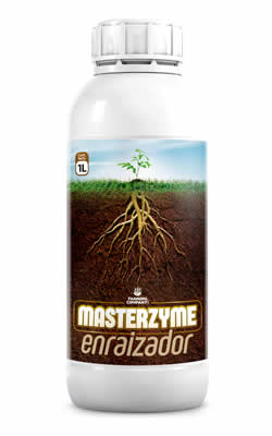 Enraizador